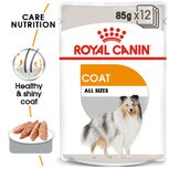 royal canin coat care wet pouch